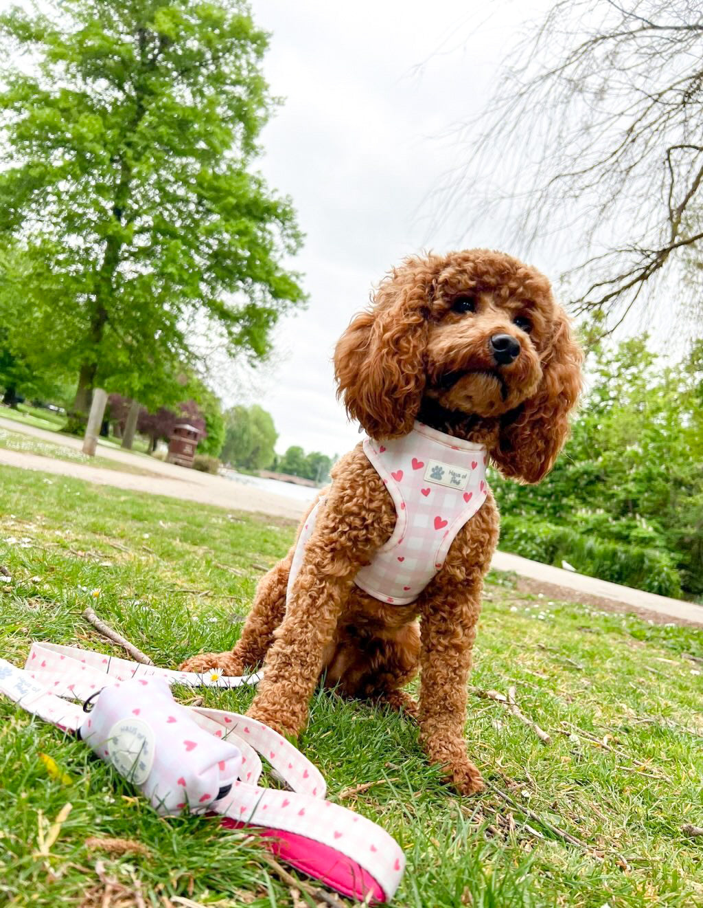 Adjustable Harness - Little Love