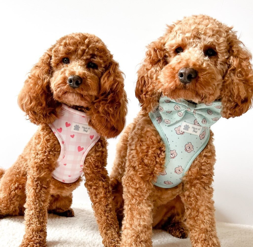 Adjustable Harness - Little Love
