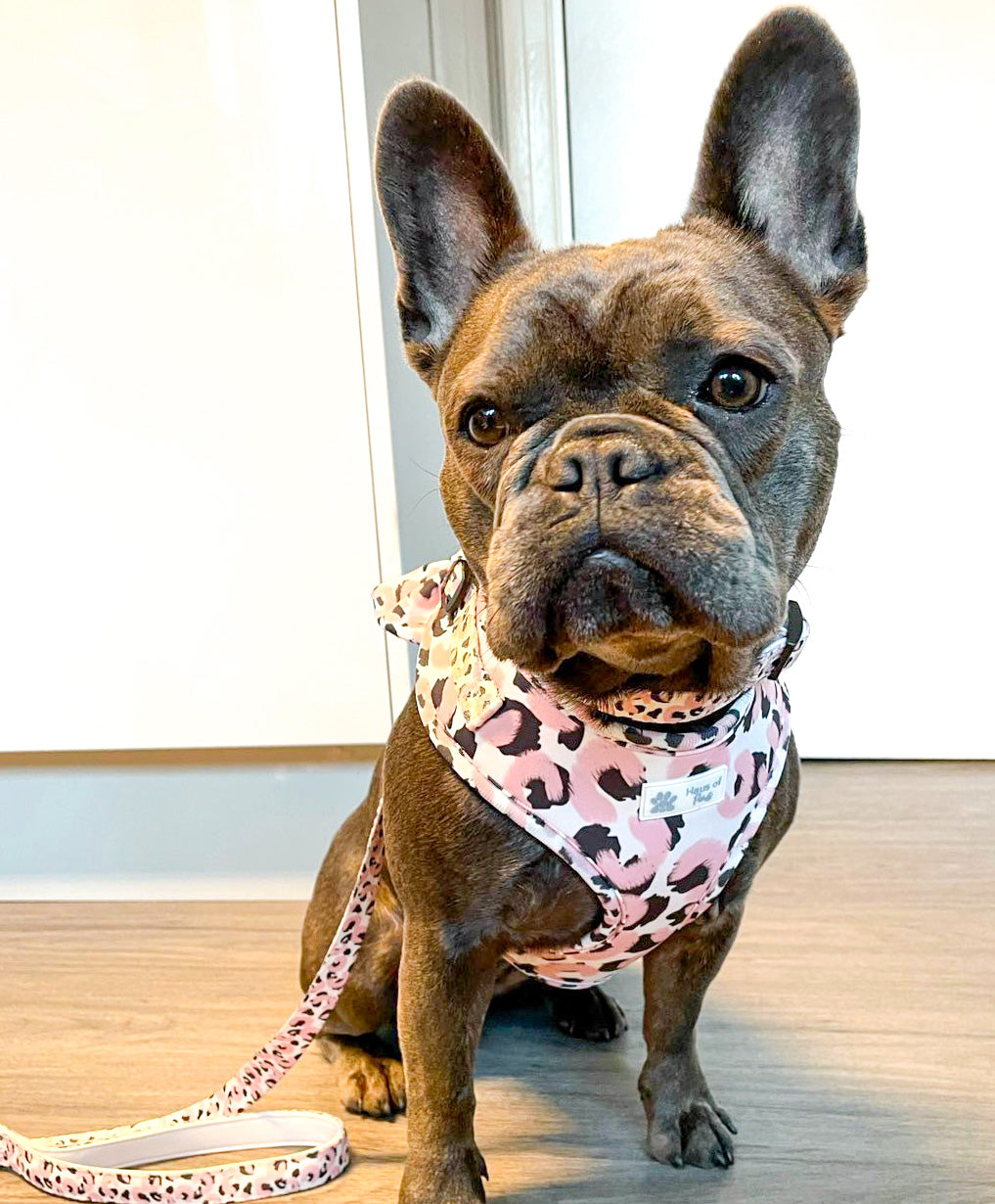 Adjustable Harness - Fierce Rose