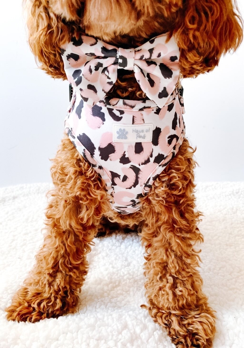 Adjustable Harness - Fierce Rose