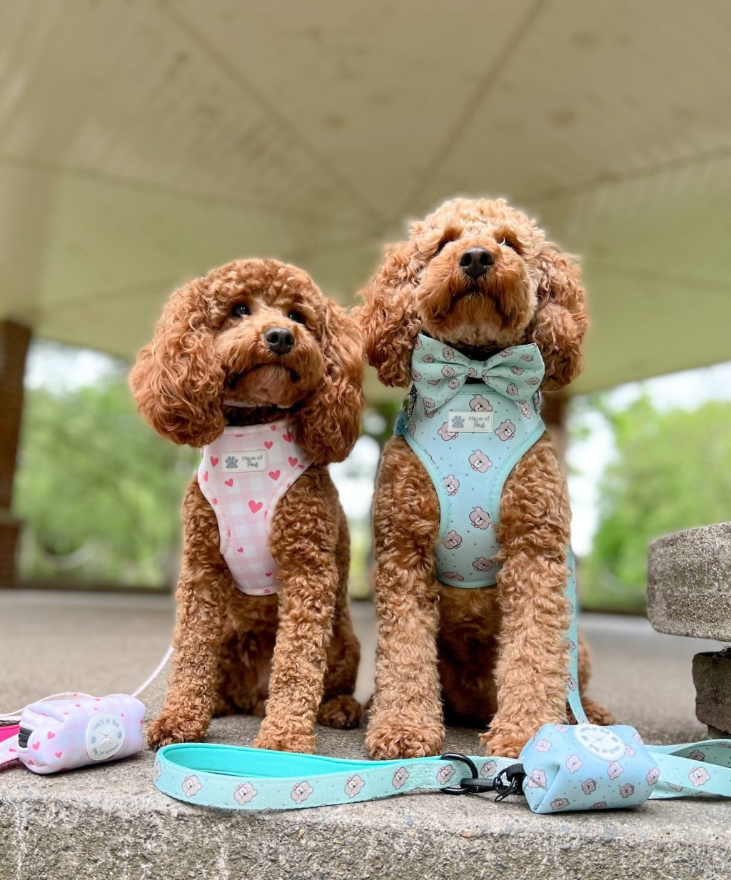 Adjustable Harness - Little Love