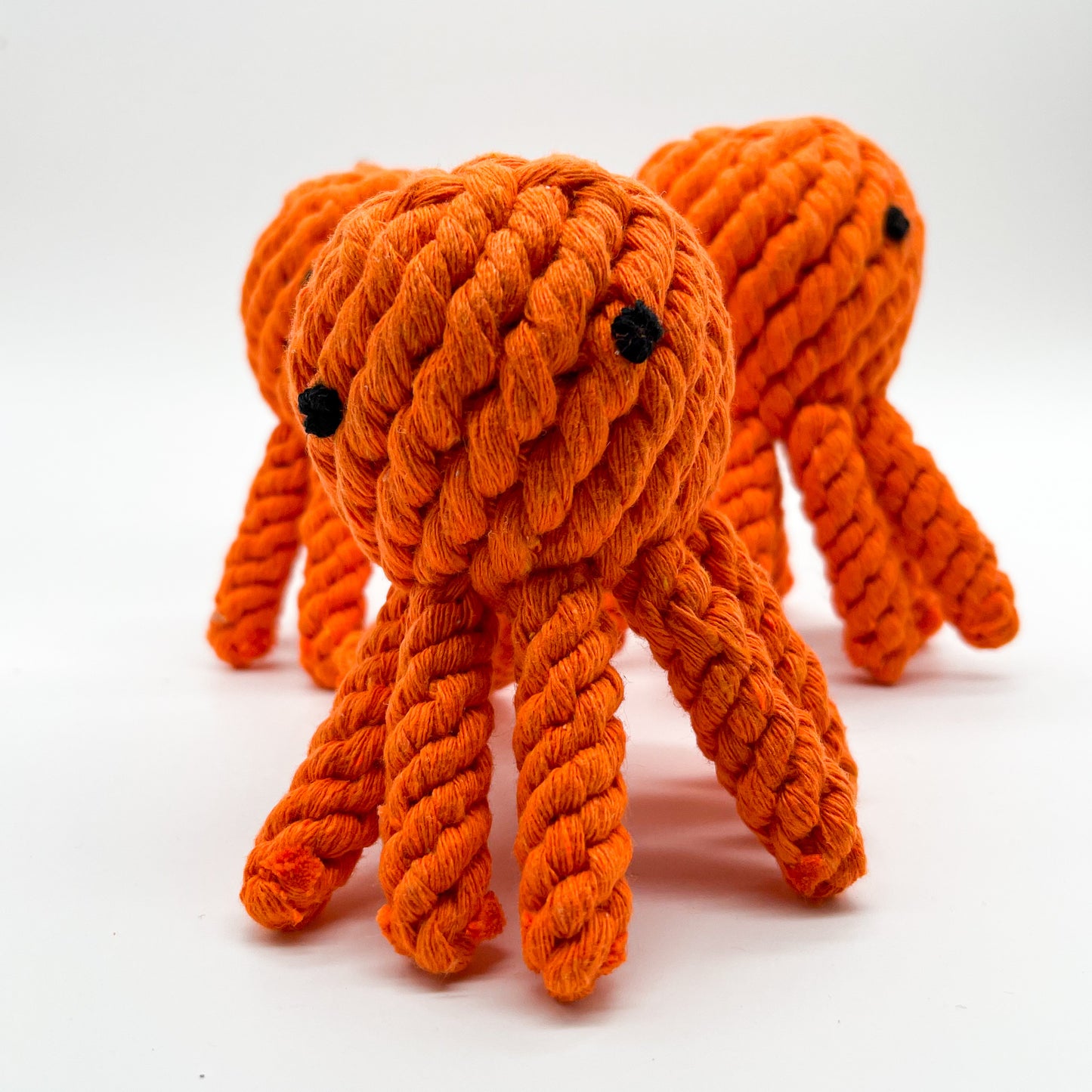 Rope Animals