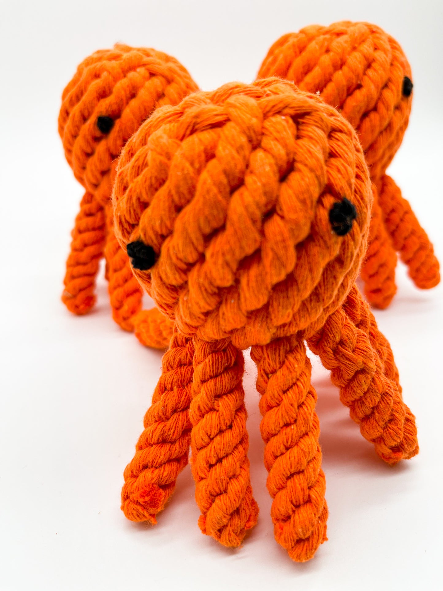 Rope Animals