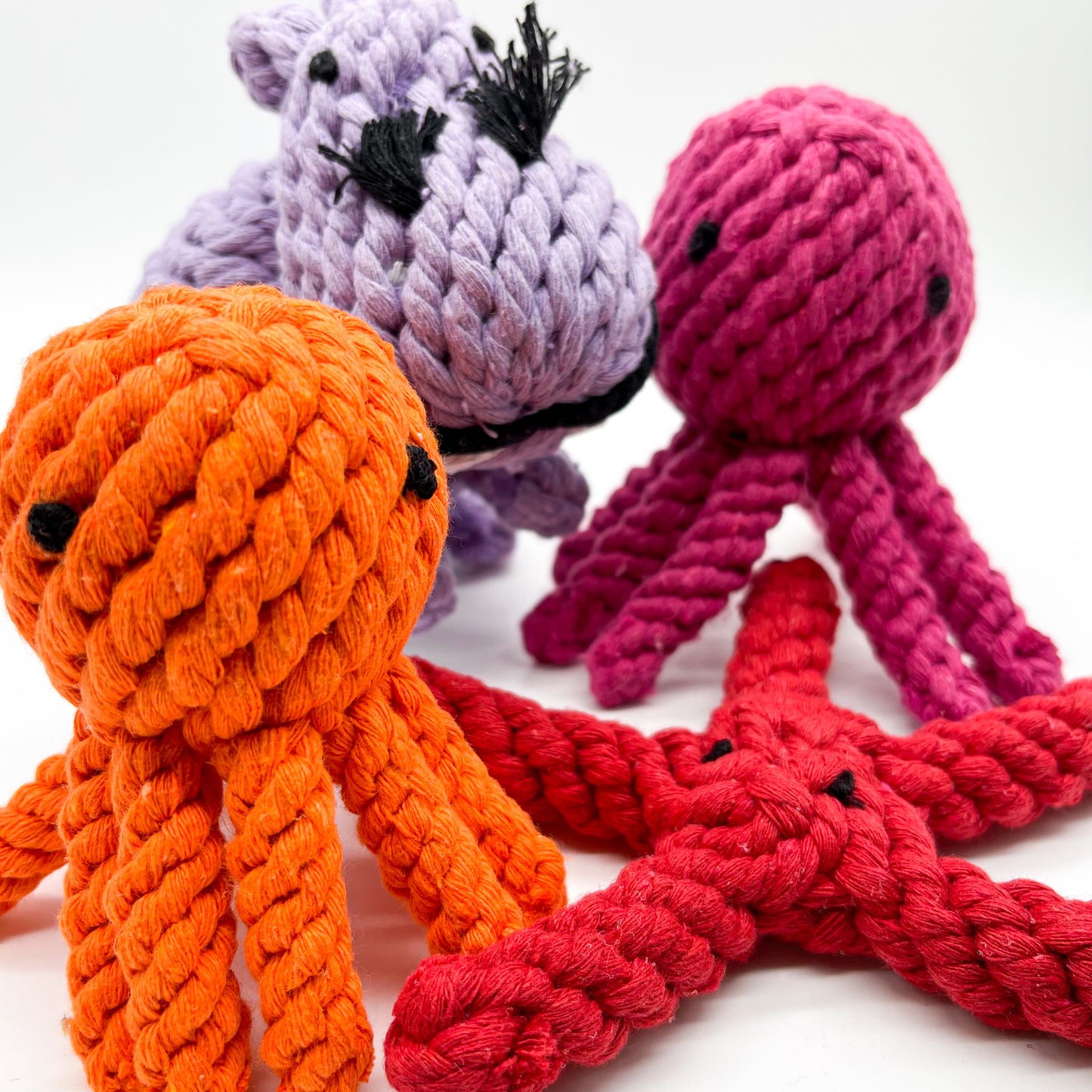Rope Animals