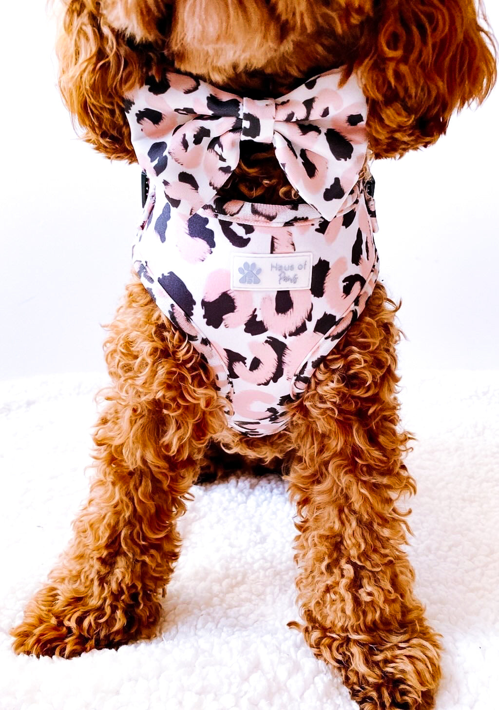 Bow Tie - Fierce Rose