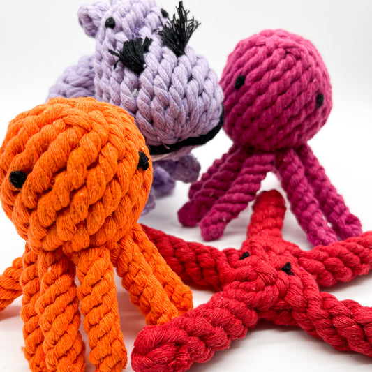 Rope Animals